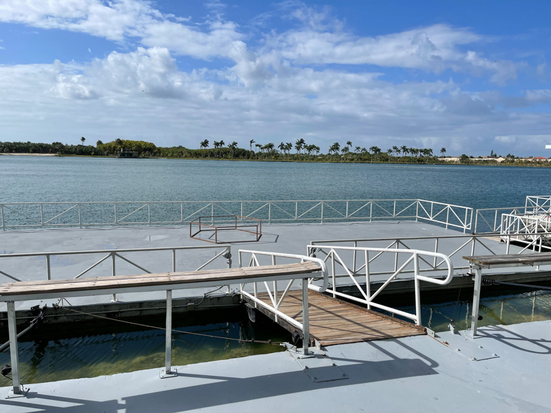 Events March 11 2021 Speaker Ariel Angulo Img 1